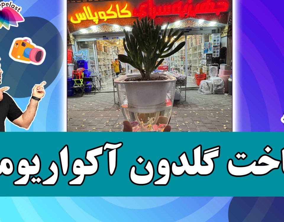 تهیه گلدون آکواریومی